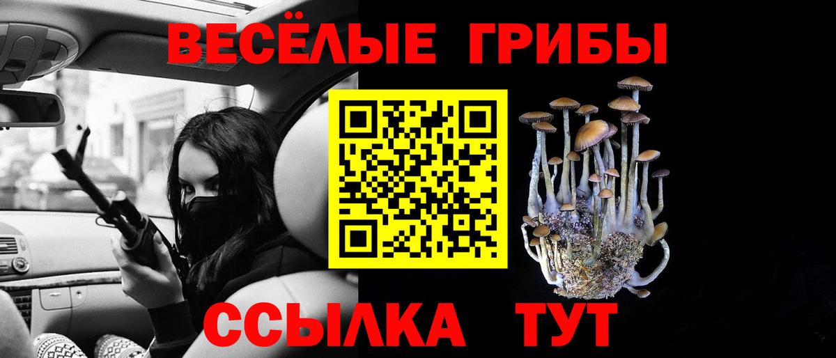 Псилоцибиновые грибы мицелий Выкса